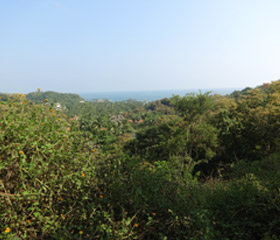 Category